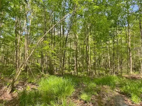 tbd Cutrer, Osyka, MS 39657 photo 22