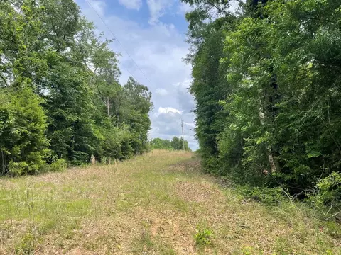 165 Cecil Sullivan Rd, Magee, MS 39111 photo 2