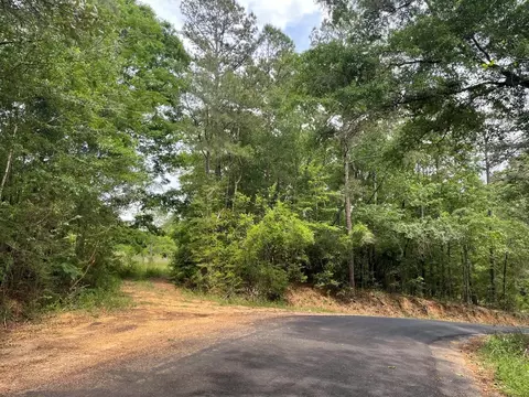 165 Cecil Sullivan Rd, Magee, MS 39111 photo 3