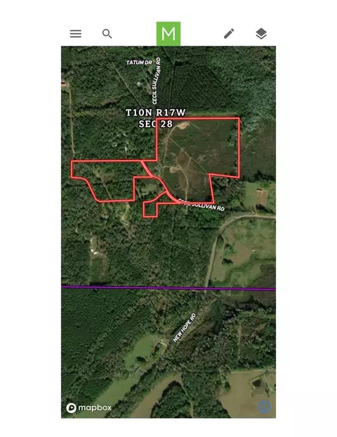 165 Cecil Sullivan Rd, Magee, MS 39111 photo 5
