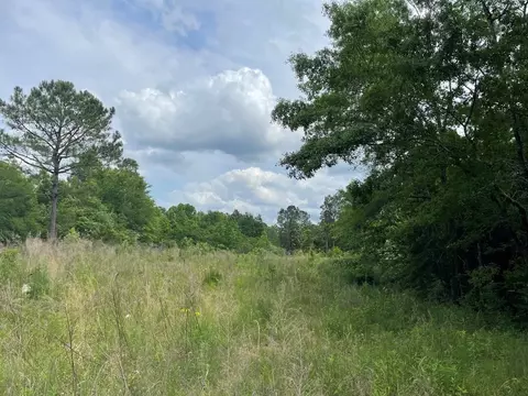 165 Cecil Sullivan Rd, Magee, MS 39111 photo 4