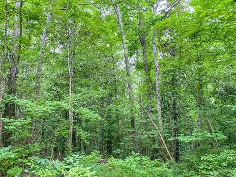tbd Black Bear Rd, Natchez, MS 39120 photo 24