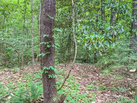 tbd Black Bear Rd, Natchez, MS 39120 photo 26