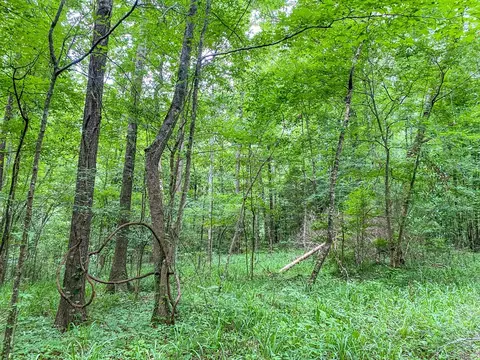 tbd Black Bear Rd, Natchez, MS 39120 photo 30