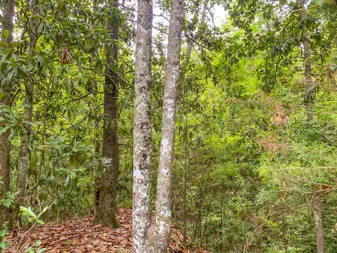 tbd Black Bear Rd, Natchez, MS 39120 photo 19