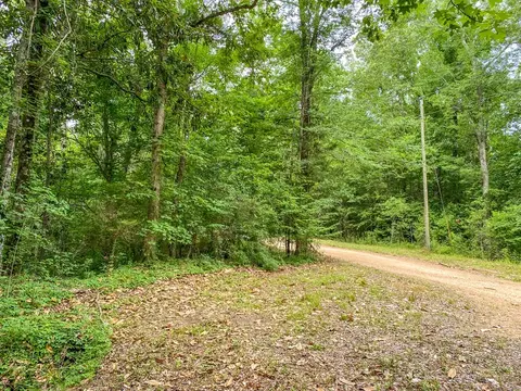 tbd Black Bear Rd, Natchez, MS 39120 photo 18