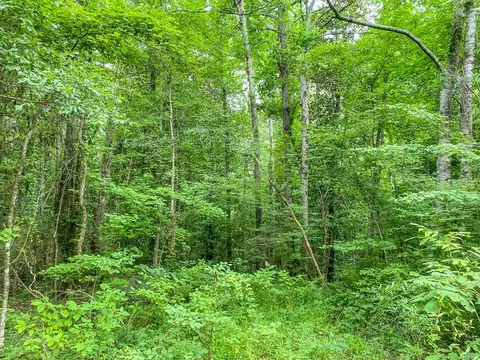 tbd Black Bear Rd, Natchez, MS 39120 photo 23