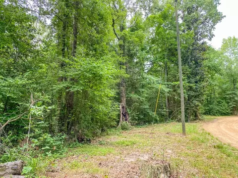 tbd Black Bear Rd, Natchez, MS 39120 photo 20