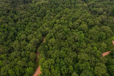 tbd Black Bear Rd, Natchez, MS 39120 photo 11