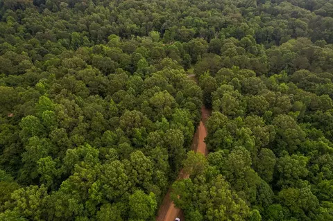 tbd Black Bear Rd, Natchez, MS 39120 photo 3