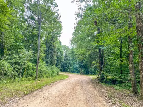 tbd Black Bear Rd, Natchez, MS 39120 photo 15