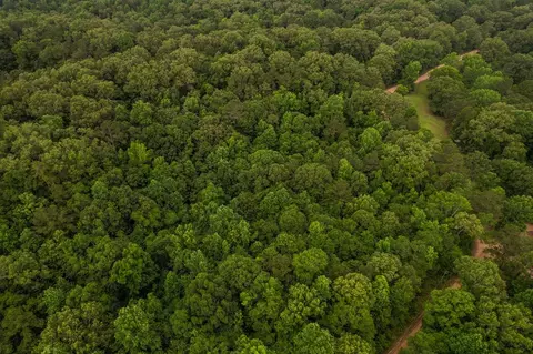 tbd Black Bear Rd, Natchez, MS 39120 photo 7