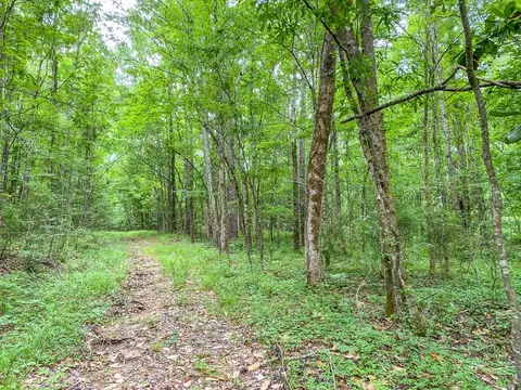 tbd Black Bear Rd, Natchez, MS 39120 photo 29