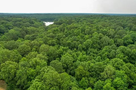 tbd Black Bear Rd, Natchez, MS 39120 photo 2