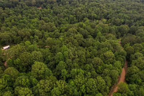 tbd Black Bear Rd, Natchez, MS 39120 photo 8