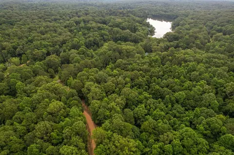 tbd Black Bear Rd, Natchez, MS 39120 photo 5