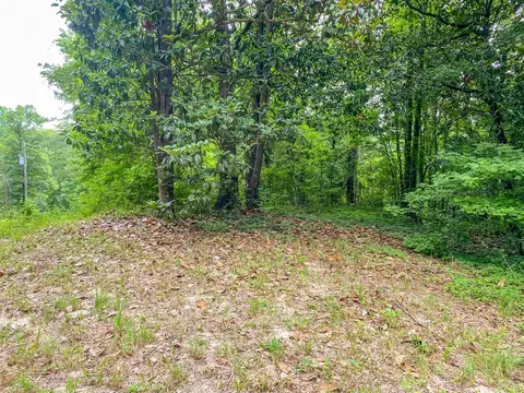 tbd Black Bear Rd, Natchez, MS 39120 photo 21