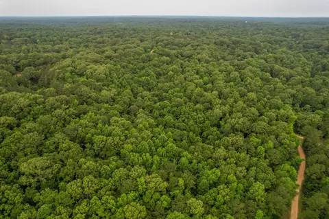 tbd Black Bear Rd, Natchez, MS 39120 photo 14