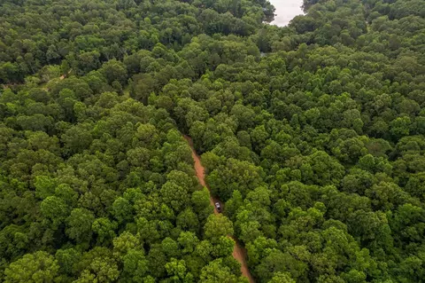 tbd Black Bear Rd, Natchez, MS 39120 photo 4