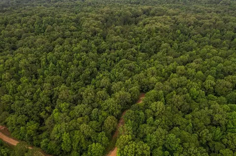 tbd Black Bear Rd, Natchez, MS 39120 photo 12