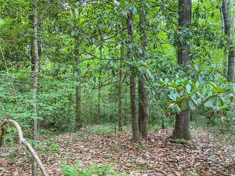 tbd Black Bear Rd, Natchez, MS 39120 photo 27