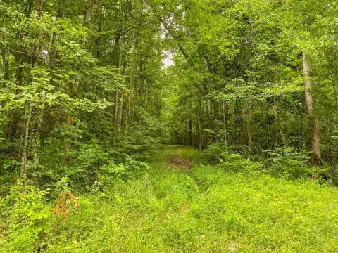 tbd Black Bear Rd, Natchez, MS 39120 photo 28