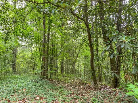 tbd Black Bear Rd, Natchez, MS 39120 photo 22