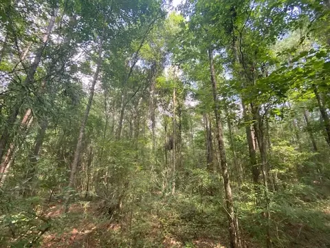 tbd Archie Boyd, Jayess, MS 39641 photo 2