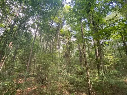 tbd Archie Boyd, Jayess, MS 39641 photo 6