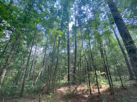 tbd Archie Boyd, Jayess, MS 39641 photo 3