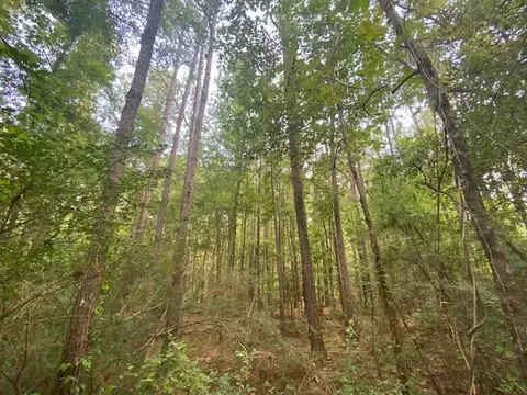 tbd Archie Boyd, Jayess, MS 39641 photo 1