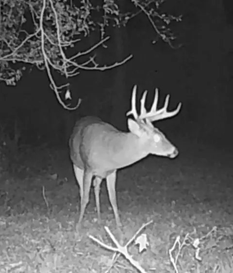 6823 Ms Hwy 568, Magnolia, MS 39652