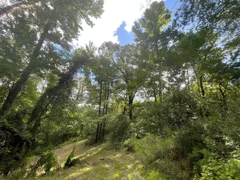 5601 Mullins Rd, Gloster, MS 39638 photo 26