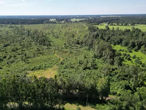 Tract 1 Blazo Road, Osyka, MS 39657