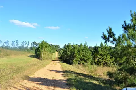 ... Old Liberty Road, Mccomb, MS 39648 photo 4
