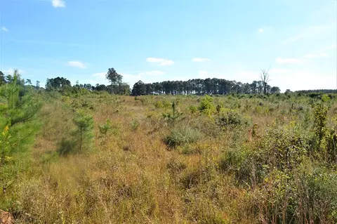... Old Liberty Road, Mccomb, MS 39648 photo 5