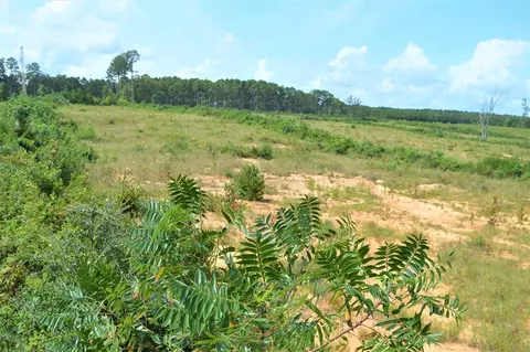 ... Old Liberty Road, Mccomb, MS 39648 photo 7