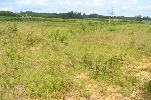 ... Old Liberty Road, Mccomb, MS 39648 photo 11