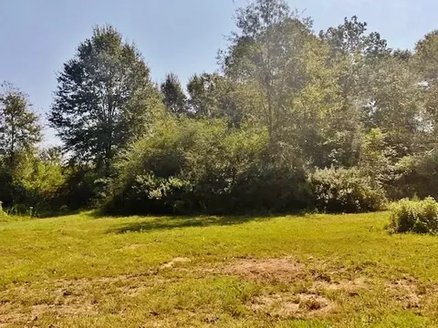 4025 Fred Martin Rd, Summit, MS 39666 photo 15