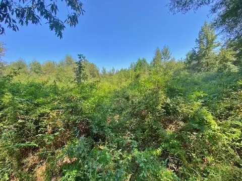 4025 Fred Martin Rd, Summit, MS 39666 photo 18