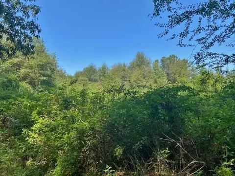 4025 Fred Martin Rd, Summit, MS 39666 photo 19