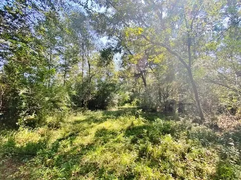 4025 Fred Martin Rd, Summit, MS 39666 photo 17
