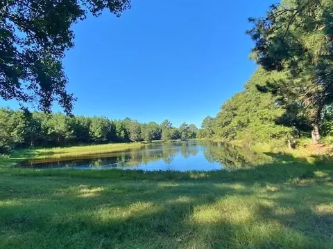 4061 Tyson Rd, Wesson, MS 39191 photo 62