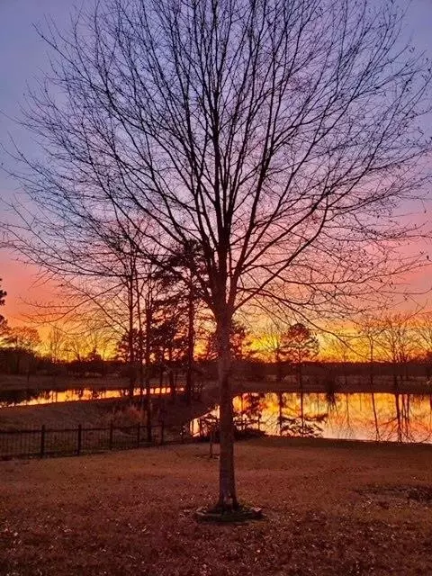 4061 Tyson Rd, Wesson, MS 39191 photo 45