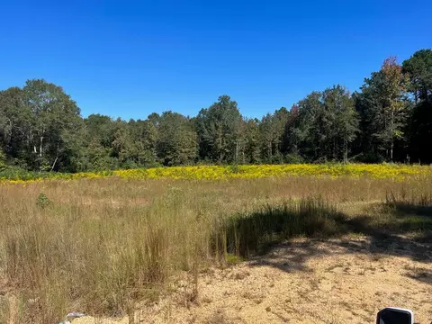 4029 Hwy 98 We St, Summit, MS 39666 photo 1