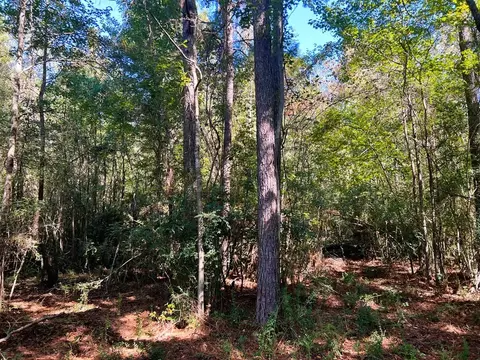 4029 Hwy 98 We St, Summit, MS 39666 photo 5