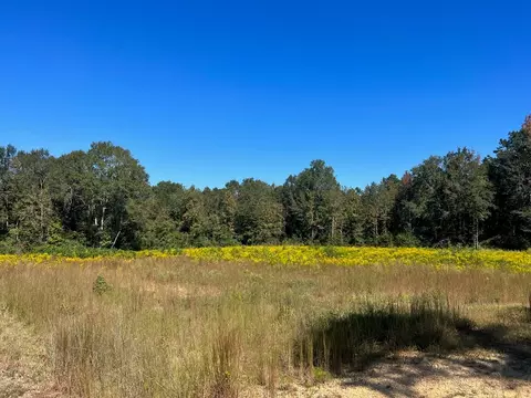 4029 Hwy 98 We St, Summit, MS 39666 photo 2