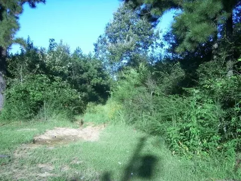 lot Apt 1 Old Hwy 33, Centreville, MS 39631