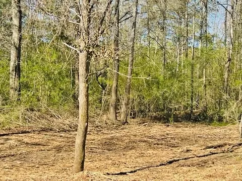 tbd Jayess Rd, Jayess, MS 39641 photo 8