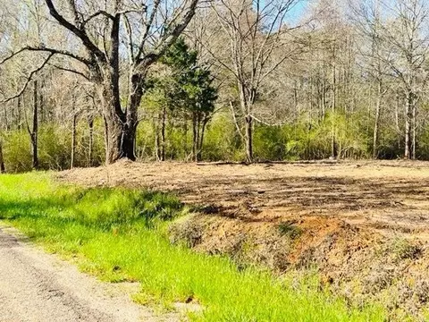 tbd Jayess Rd, Jayess, MS 39641 photo 2